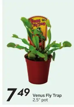 Sobeys Venus Fly Trap offer