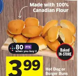 Foodland Hot Dog or Burger Buns offer