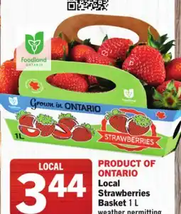 Foodland Strawberries Basket offer