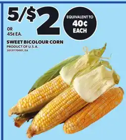 Loblaws SWEET BICOLOUR CORN offer