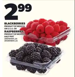 Loblaws BLACKBERRIES OR RASPBERRIES, HALF PINT offer