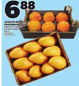 Loblaws ATAULFO MANGO OR PERSIMMON CASE offer