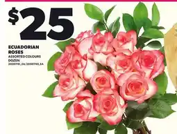 Loblaws ECUADORIAN ROSES, DOZEN offer