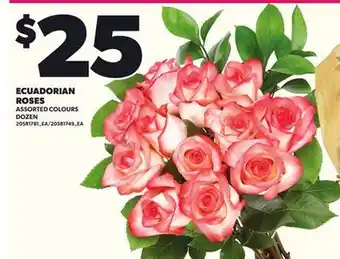 Loblaws ECUADORIAN ROSES, DOZEN offer