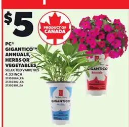 Loblaws PC GIGANTICO ANNUALS, HERBS OR VEGETABLES, 4.33 INCH offer
