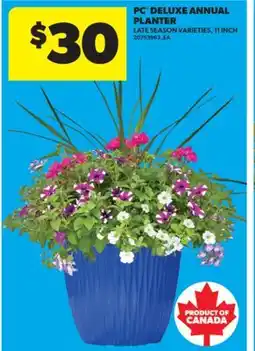 Real Canadian Superstore PC DELUXE ANNUAL PLANTER, 11 INCH offer