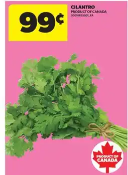 Real Canadian Superstore CILANTRO offer