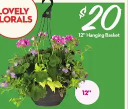 Longo's 12 Hanging Basket offer