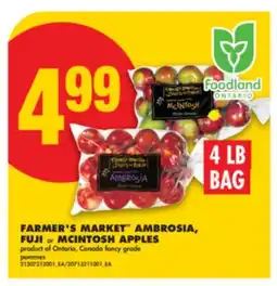 No Frills FARMER'S MARKET AMBROSIA, FUJI or MCINTOSH APPLES, 4 LB BAG offer