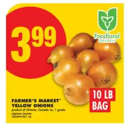 No Frills FARMER'S MARKET YELLOW ONIONS10 LB BAG offer