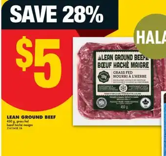 No Frills LEAN GROUND BEEF, 450G offer