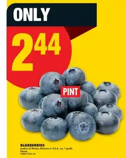 No Frills BLUEBERRIES offer