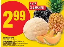 No Frills CANTALOUPE, PINEAPPLE OR BLACKBERRIES, 6 OZ CLAMSHELL offer