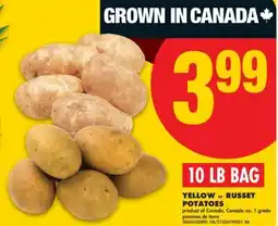 No Frills YELLOW OR RUSSET POTATOES, 10 LB BAG offer