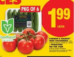 No Frills FARMER'S MARKET MINI CUCUMBERS TOMATOES ON THE VINE, PKG OF 6 offer