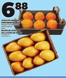 Independent Grocer ATAULFO MANGO OR PERSIMMON CASE offer