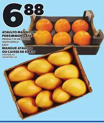 Independent Grocer ATAULFO MANGO OR PERSIMMON CASE offer