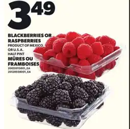 Independent Grocer BLACKBERRIES OR RASPBERRIES offer