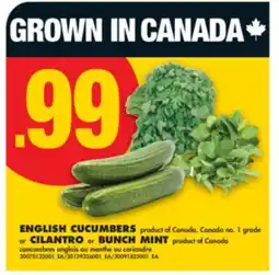 No Frills ENGLISH CUCUMBERS or CILANTRO or BUNCH MINT offer