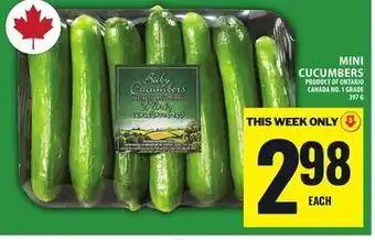 Food Basics MINI CUCUMBERS offer