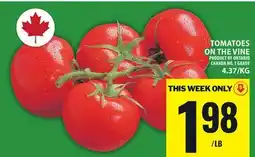 Food Basics TOMATOES ON THE VINE offer