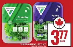 Food Basics VISION GREENS LETTUCE offer