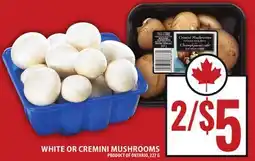Food Basics WHITE OR CREMINI MUSHROOMS offer