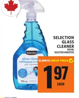 Food Basics SELECTION GLASS CLEANER offer
