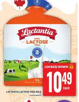 Food Basics LACTANTIA LACTOSE FREE MILK offer