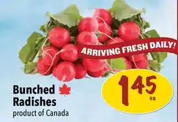 Farm Boy Bunched Radishes offer
