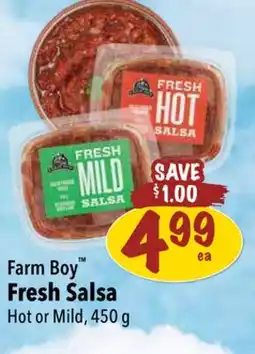 Farm Boy Farm Boy Fresh Salsa offer