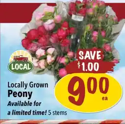 Farm Boy Locally Grown Peony offer