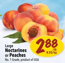 Farm Boy Large Nectarines or Peaches offer