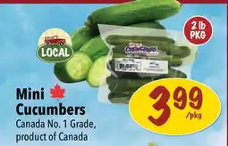 Farm Boy Mini Cucumbers offer