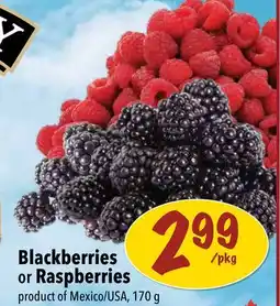 Farm Boy Blackberries or Raspberries offer