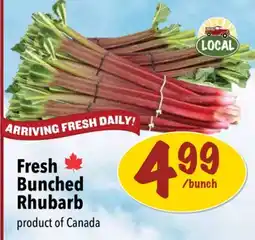 Farm Boy Fresh Bunched Rhubarb offer
