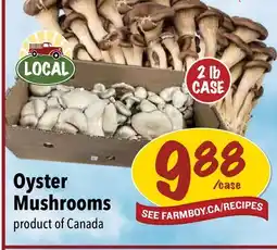 Farm Boy Oyster Mushrooms offer
