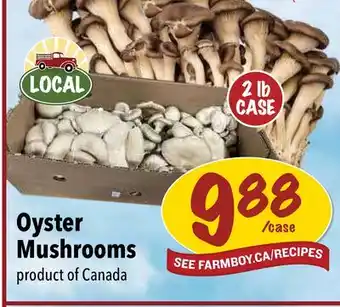 Farm Boy Oyster Mushrooms offer