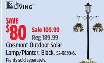 Canadian Tire for LIVING Cresmont Outdoor Solar Lamp/Planter, Black offer