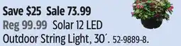 Canadian Tire Outdoor String Light offer