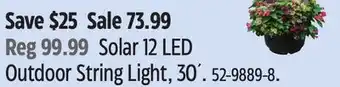 Canadian Tire Outdoor String Light offer