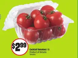Chalo FreshCo Cocktail Tomatoes 1 lb Product of Ontario offer