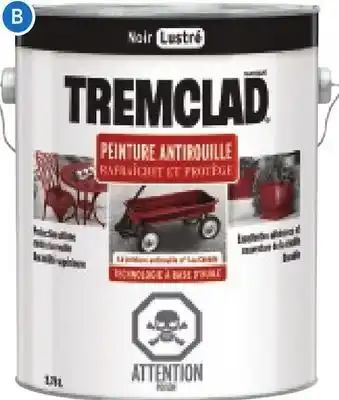 RONA TREMCLAD Rust Paint offer