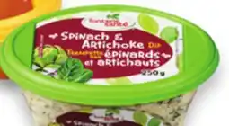 Walmart Fontaine Santé Dips offer