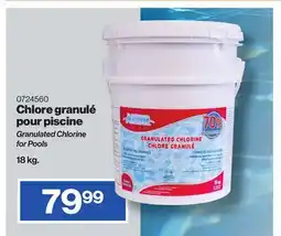 Patrick Morin Granulated Chlorine for Pool offer