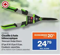 Patrick Morin Telescopic Hedge Shears offer