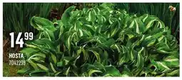 Canac HOSTA offer