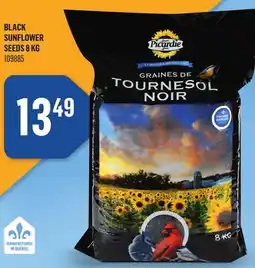Canac BLACK SUNFLOWER SEEDS 8 KG offer