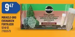 Canac Miracle-Gro Evergreen Fertilizer 12-6-12 offer