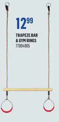Canac Trapeze Bar Gym Rings offer